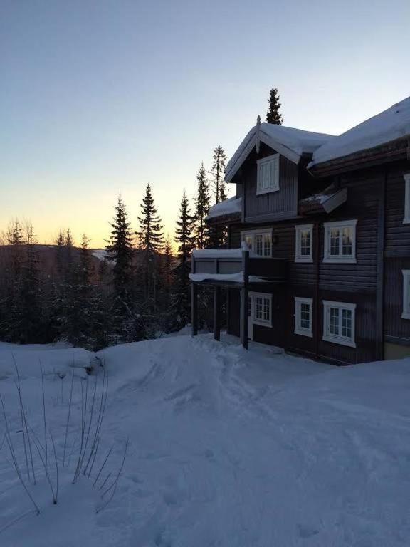 Flat In Trysil Ski In Ski Out And Sauna Exterior foto